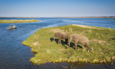 African Safari with Helicopter Ride Tour from Dubai by Bestination Holidays 04