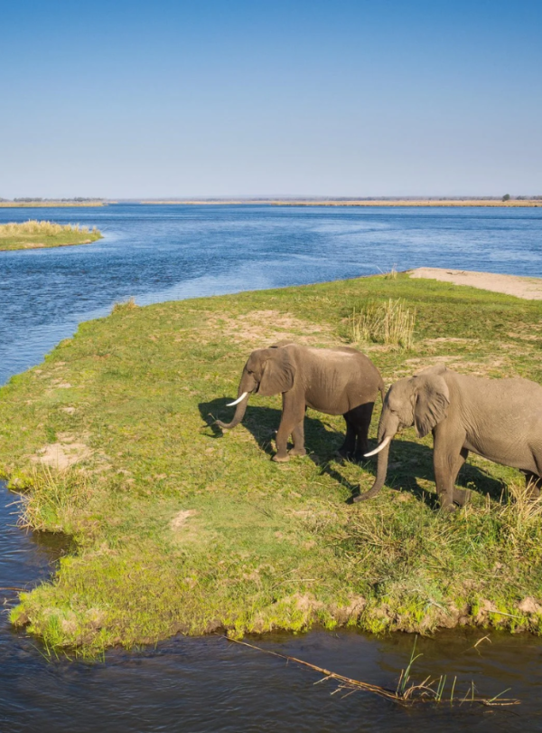 African Safari with Helicopter Ride Tour from Dubai by Bestination Holidays 04
