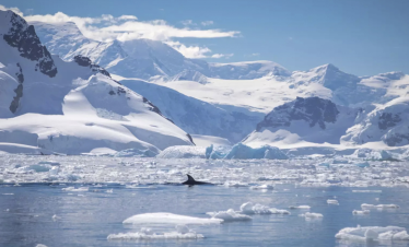 Antarctica Fly Cruise Expedition Tour from Dubai by Bestination Holidays 04