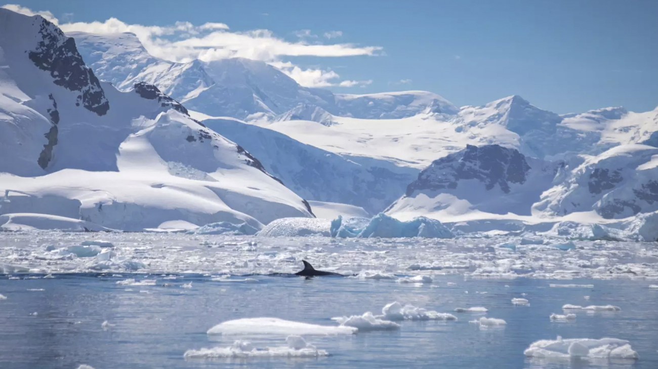 Antarctica Fly Cruise Tour from Dubai by Bestination Holidays