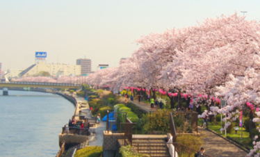 Japan Korea Tour from Dubai by Bestination Holidays 01