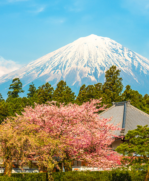 Japan Korea Tour from Dubai by Bestination Holidays 02