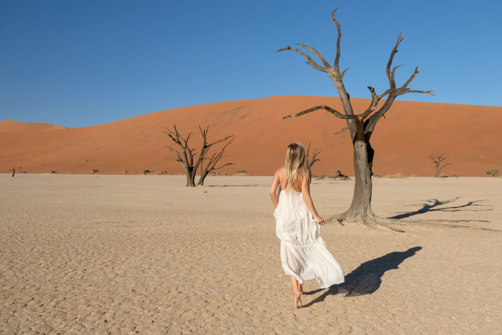 The Great African Tour with Nambian Desert from Dubai by Bestination Holidays 02