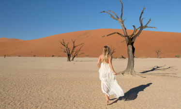 The Great African Tour with Nambian Desert from Dubai by Bestination Holidays 02