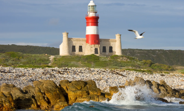 African Tour from Dubai by Bestination Holidays 04