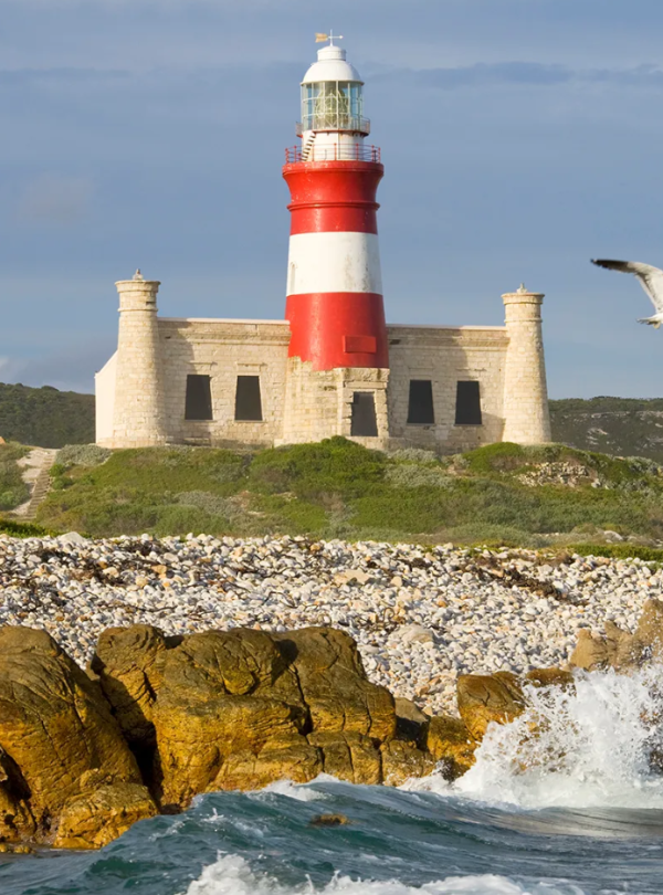 African Tour from Dubai by Bestination Holidays 04