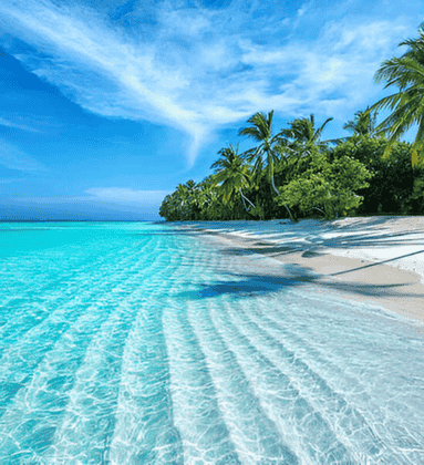 Goa Tour from Dubai by Bestination Holidays 08