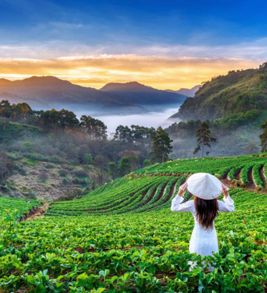 Best of Kerala Tour by Bestination Holidays