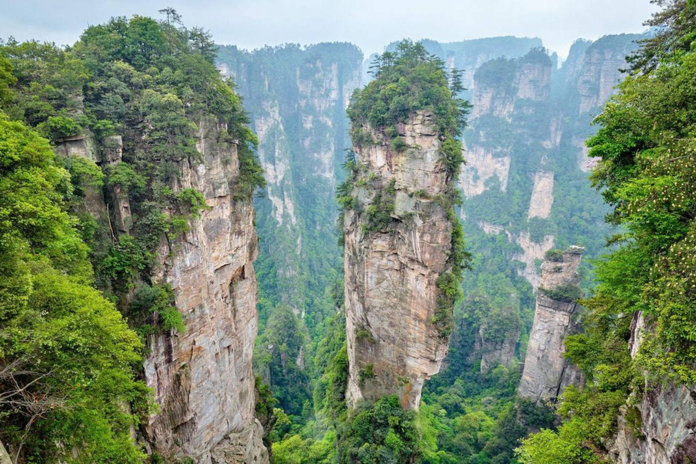 China Avatar Mountain Tour from Dubai by Bestination Holidays 02