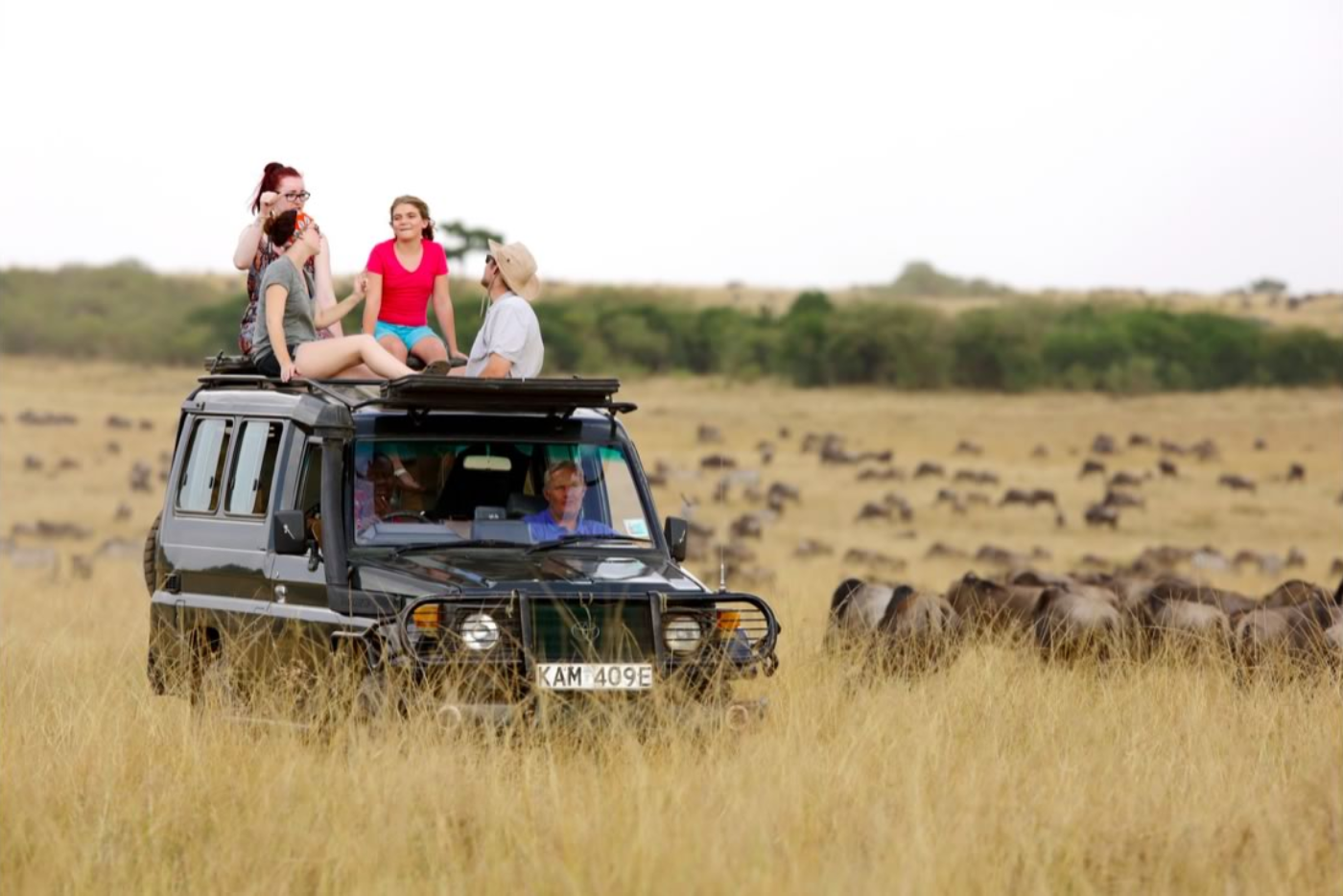 The Great Migration Kenya Tour from Dubai by Bestination Holidays 01