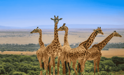 Tour from Dubai to Kenya Tanzania by Bestination Holidays